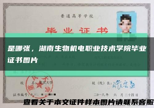 是哪张，湖南生物机电职业技术学院毕业证书图片缩略图