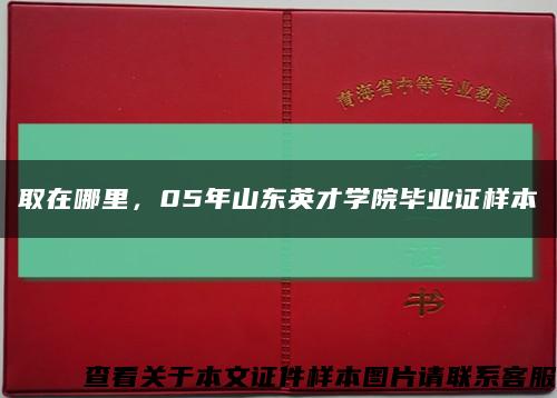 取在哪里，05年山东英才学院毕业证样本缩略图