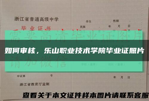 如何审核，乐山职业技术学院毕业证照片缩略图