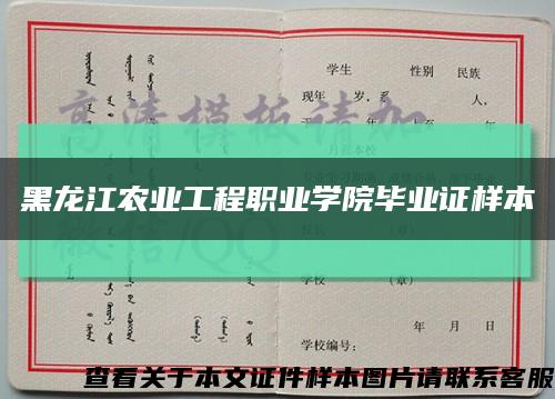 黑龙江农业工程职业学院毕业证样本缩略图