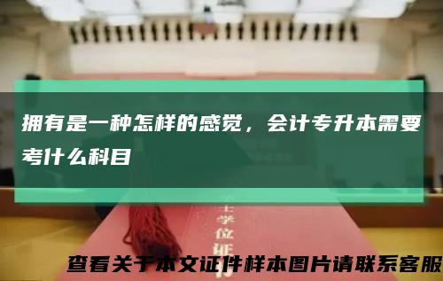 拥有是一种怎样的感觉，会计专升本需要考什么科目缩略图