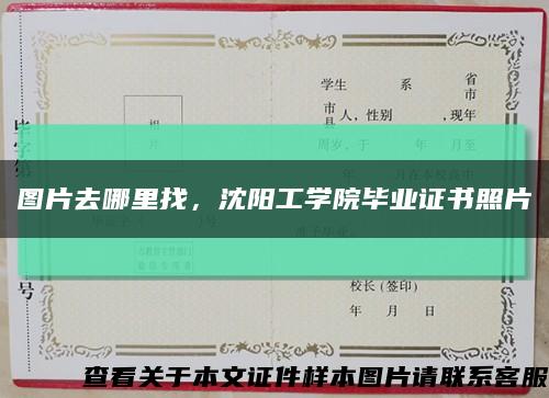 图片去哪里找，沈阳工学院毕业证书照片缩略图