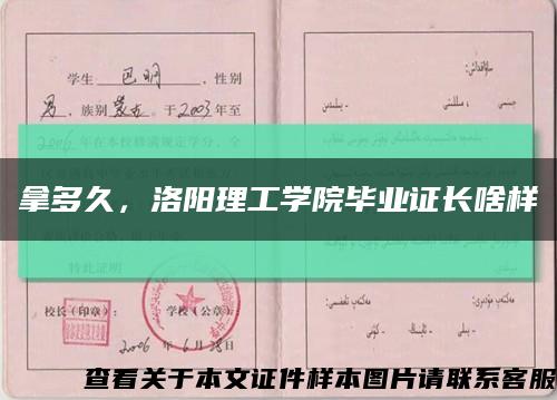 拿多久，洛阳理工学院毕业证长啥样缩略图