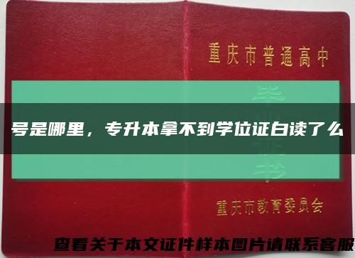 号是哪里，专升本拿不到学位证白读了么缩略图