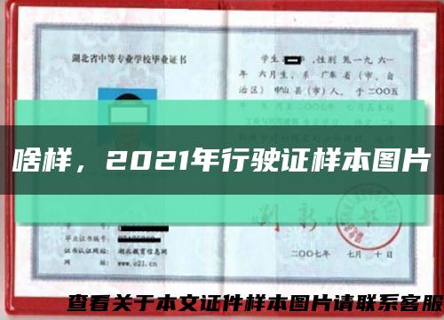 啥样，2021年行驶证样本图片缩略图