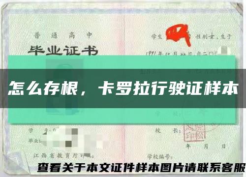 怎么存根，卡罗拉行驶证样本缩略图