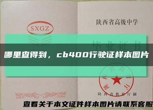 哪里查得到，cb400行驶证样本图片缩略图