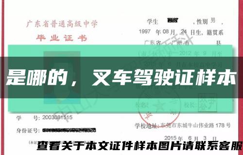 是哪的，叉车驾驶证样本缩略图