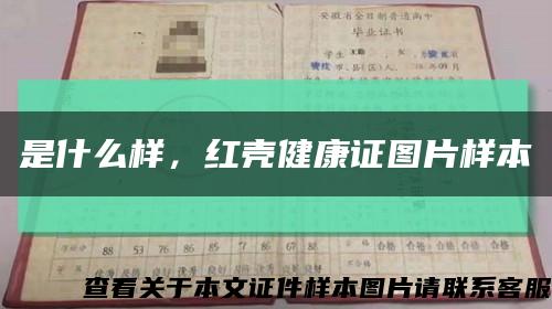 是什么样，红壳健康证图片样本缩略图