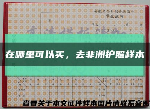 在哪里可以买，去非洲护照样本缩略图