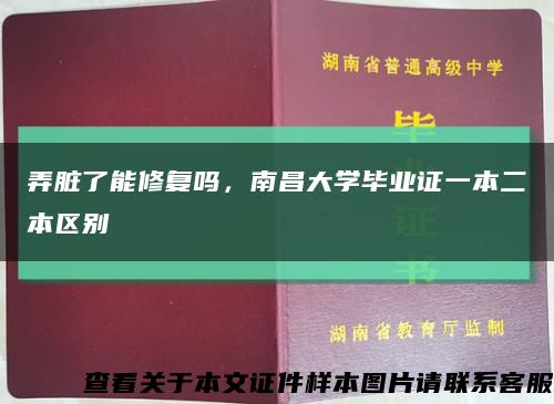 弄脏了能修复吗，南昌大学毕业证一本二本区别缩略图