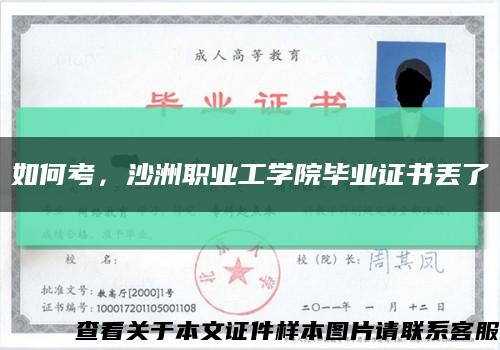 如何考，沙洲职业工学院毕业证书丢了缩略图