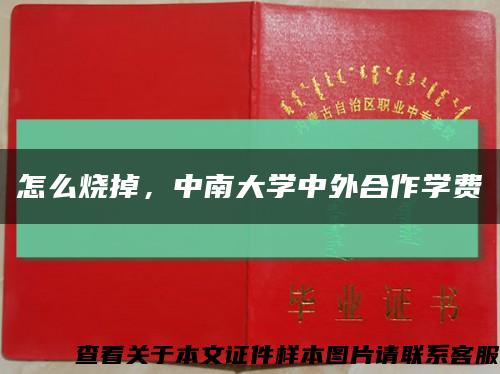 怎么烧掉，中南大学中外合作学费缩略图