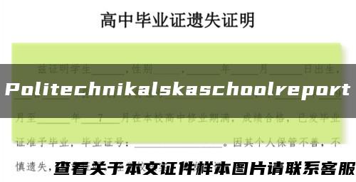 Politechnikalskaschoolreport缩略图