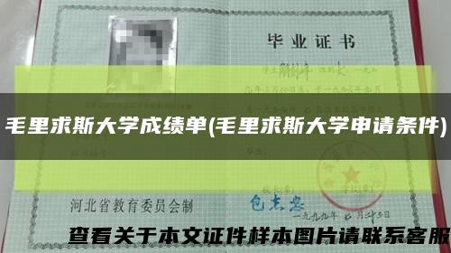 毛里求斯大学成绩单(毛里求斯大学申请条件)缩略图