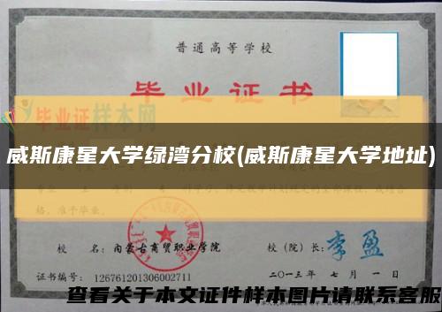 威斯康星大学绿湾分校(威斯康星大学地址)缩略图