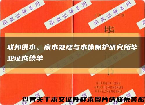 联邦供水、废水处理与水体保护研究所毕业证成绩单缩略图