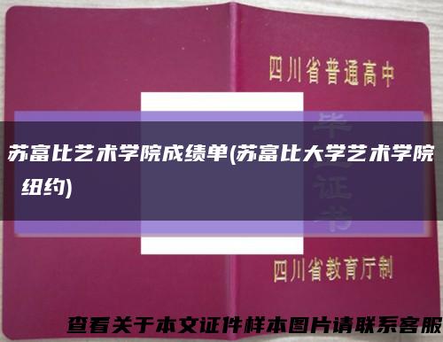 苏富比艺术学院成绩单(苏富比大学艺术学院 纽约)缩略图