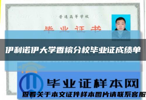 伊利诺伊大学香槟分校毕业证成绩单缩略图