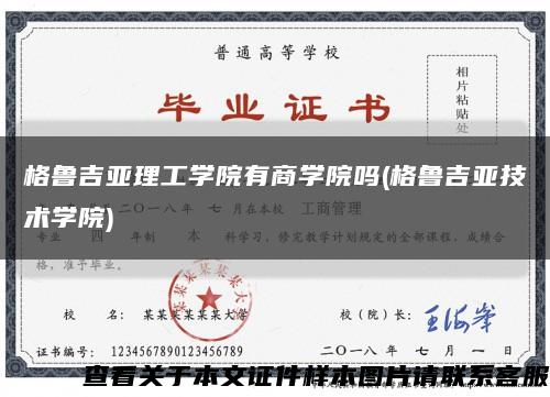 格鲁吉亚理工学院有商学院吗(格鲁吉亚技术学院)缩略图