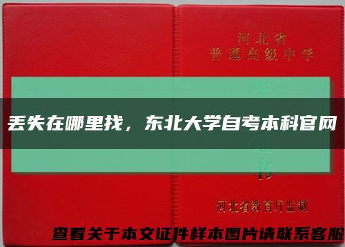 丢失在哪里找，东北大学自考本科官网缩略图