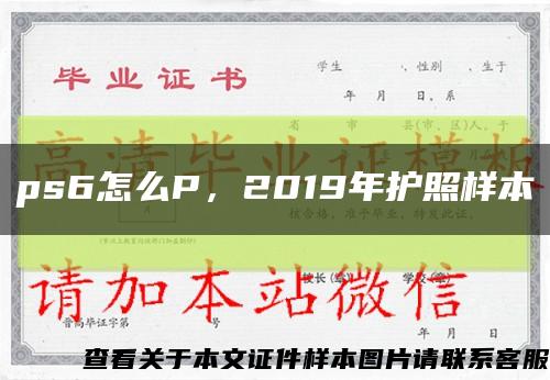 ps6怎么P，2019年护照样本缩略图