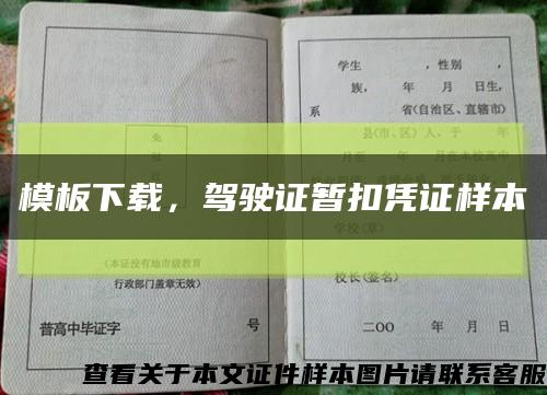 模板下载，驾驶证暂扣凭证样本缩略图