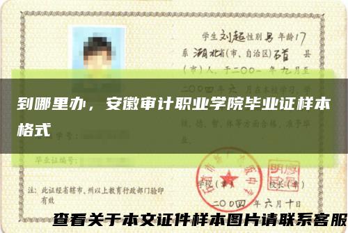 到哪里办，安徽审计职业学院毕业证样本格式缩略图