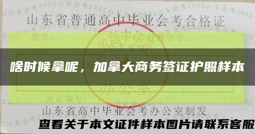 啥时候拿呢，加拿大商务签证护照样本缩略图