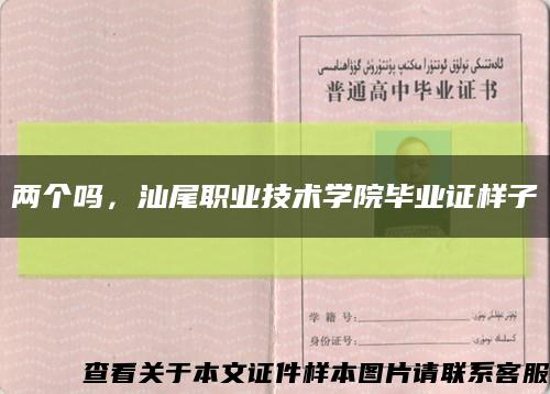 两个吗，汕尾职业技术学院毕业证样子缩略图