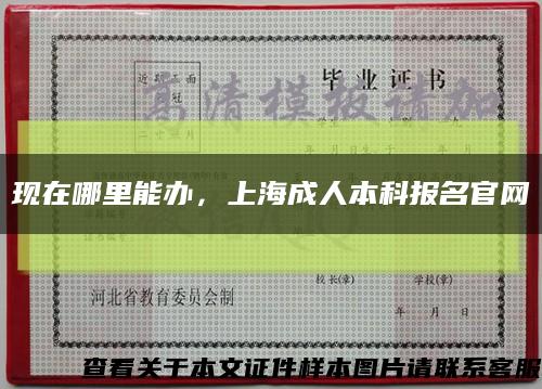 现在哪里能办，上海成人本科报名官网缩略图