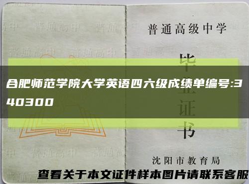 合肥师范学院大学英语四六级成绩单编号:340300缩略图