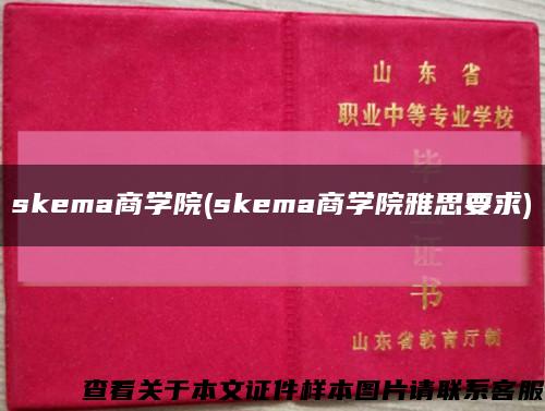 skema商学院(skema商学院雅思要求)缩略图