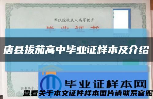 唐县拔茄高中毕业证样本及介绍缩略图