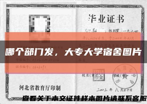 哪个部门发，大专大学宿舍图片缩略图