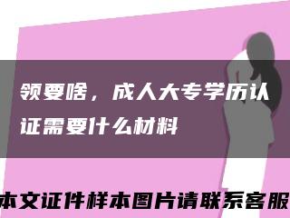 领要啥，成人大专学历认证需要什么材料缩略图