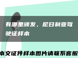 有哪里颁发，尼日利亚驾驶证样本缩略图