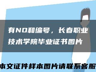 有NO和编号，长春职业技术学院毕业证书图片缩略图