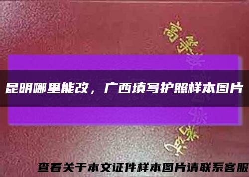 昆明哪里能改，广西填写护照样本图片缩略图