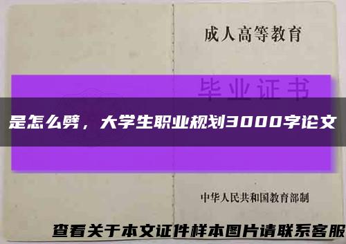 是怎么劈，大学生职业规划3000字论文缩略图