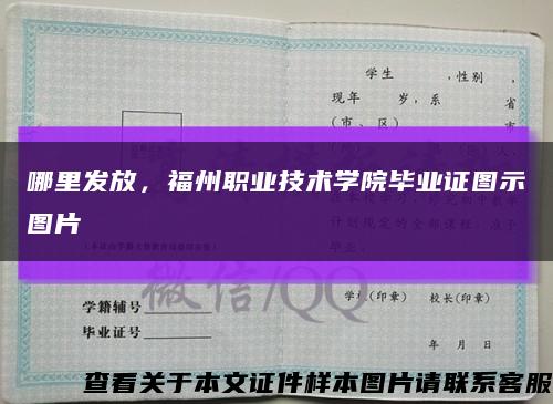 哪里发放，福州职业技术学院毕业证图示图片缩略图