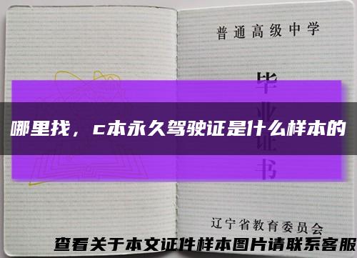 哪里找，c本永久驾驶证是什么样本的缩略图