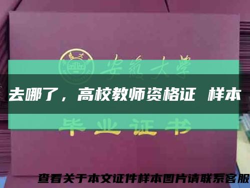 去哪了，高校教师资格证 样本缩略图