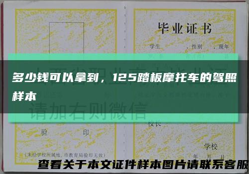 多少钱可以拿到，125踏板摩托车的驾照样本缩略图