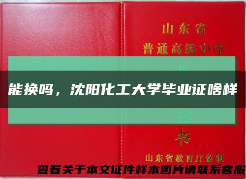 能换吗，沈阳化工大学毕业证啥样缩略图