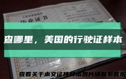 查哪里，美国的行驶证样本缩略图