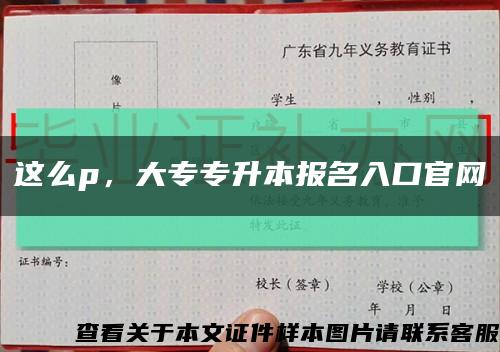 这么p，大专专升本报名入口官网缩略图