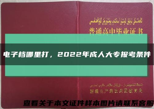 电子档哪里打，2022年成人大专报考条件缩略图