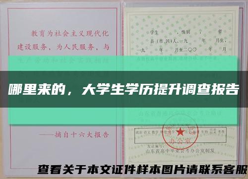 哪里来的，大学生学历提升调查报告缩略图