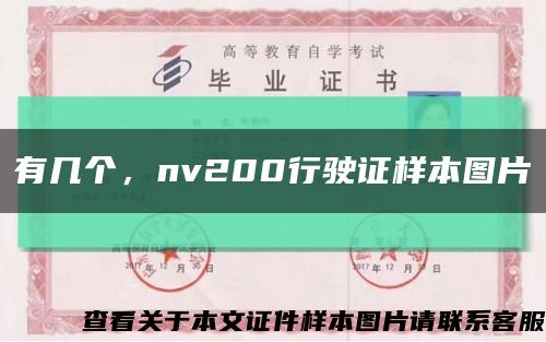 有几个，nv200行驶证样本图片缩略图